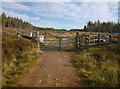 NH5940 : Great Glen Way through cleared forest, by Blackfold by Craig Wallace