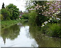 Stratford-upon-Avon Canal in Stratford-upon-Avon