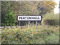 TM3569 : Peasenhall Village Name sign by Geographer