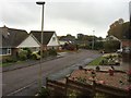 A suburban street in Seaton