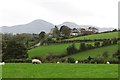 View across the Moneycarragh valley to a farm house and buildings on Cauley