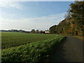 Green Lane near Skellow