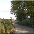 Where footpaths cross the road north of Ashford