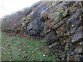 SH5037 : Rocky outcrop below Criccieth castle - and a bench mark by John S Turner