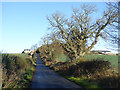 The road to Thornton Moor