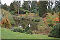 Small lake, Bedgebury Pinetum