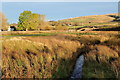 Burblethwaite Beck