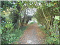 Path from Green Lane to Chipstead Lane