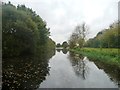 The Selby Canal south of Brayton railway bridge