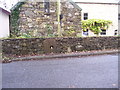 Stepaside old mill stone - spot the skull?