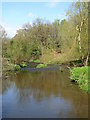 The River Bollin in The Carrs park