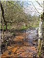 Drainage ditch in The Carrs park