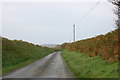 Lane near Croes Ffordd