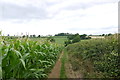 Bridle Path to Challenger Farm