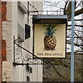 Sign for the Pineapple Inn