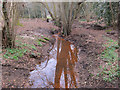 Stream through Horne Wood