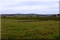 Grazing south of Drumclog Church