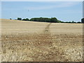 Footpath over stubble field