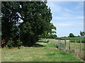 Farm track off Ridgmont Road