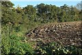 Stubble field by the Simene