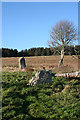 NJ6122 : Druidstone Recumbent Stone Circle (2) by Anne Burgess