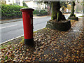 77 Henley Road George V Postbox