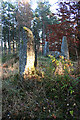 Cothiemuir Wood Recumbent Stone Circle (7)