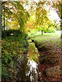 Drainage ditch in Florence Park