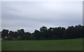 Grazing and woodland near Beaconhill Farm