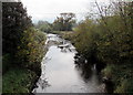 Downstream along the Carno, Caersws