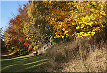 NT4936 : Autumn colours in the High Road Park, Galashiels by Walter Baxter