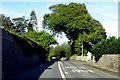 Beaumaris Road in Glyngarth