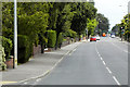 Wroxham Road Northbound