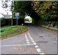 Narrow streets sign, Woodchester