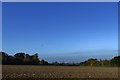 Smallwood Green: Ploughed field