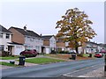 NY3655 : Autumn tree, Belle Vue, Carlisle by Christine Johnstone