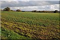 Arable field near Newbarn Farm