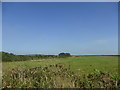 Fields near Carnyorth