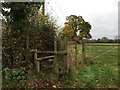 Stile and footpath off Plant Lane