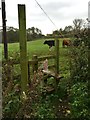 Stile and footpath off Red Lane