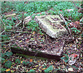 RAF Stoke Holy Cross - the buried reserve (transmitter)