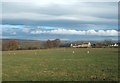 Grazing towards Dunn House Farm