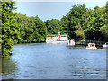 River Bure near to Salhouse