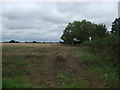 Farmland and hedgerow, Short Green