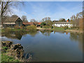 Pond at Parsonage Farm