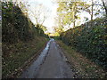 Narrow lane into Cantlop