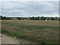 Stubble field off Heywood Road