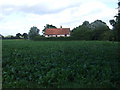 Crop field off New Road