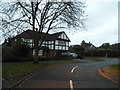 Lovelace Drive, Pyrford