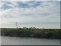 Sheep on the north bank of the River Aire